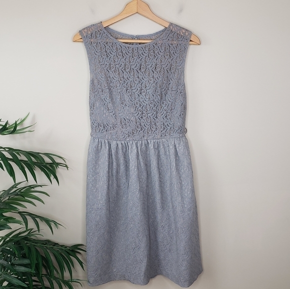 Tevolio | Gray Lace A-line Dress Size 8 - Picture 1 of 6
